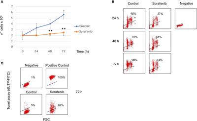 Effects of Sorafenib, a Tyrosin Kinase Inhibitor, on Adrenocortical Cancer